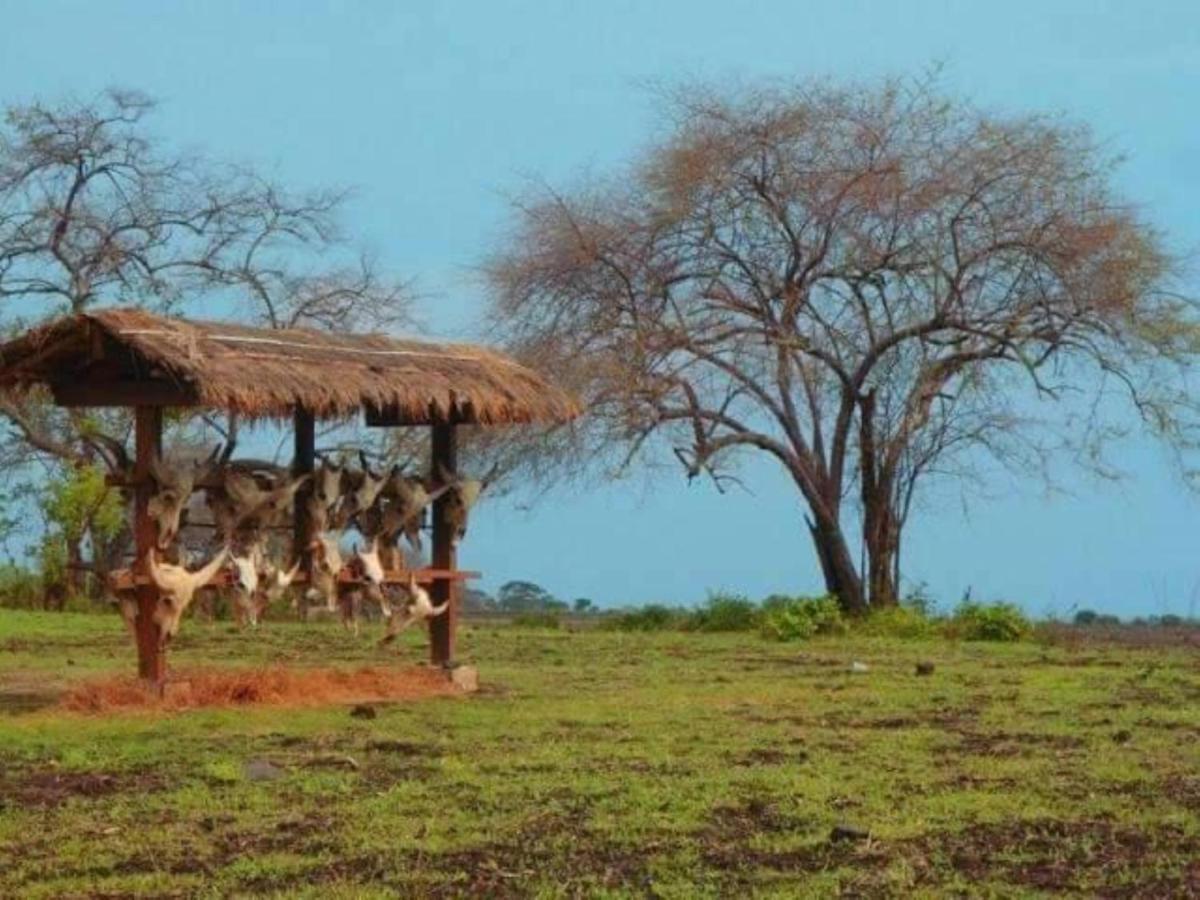 Licin Fida Ijen Crater Guesthouse מראה חיצוני תמונה