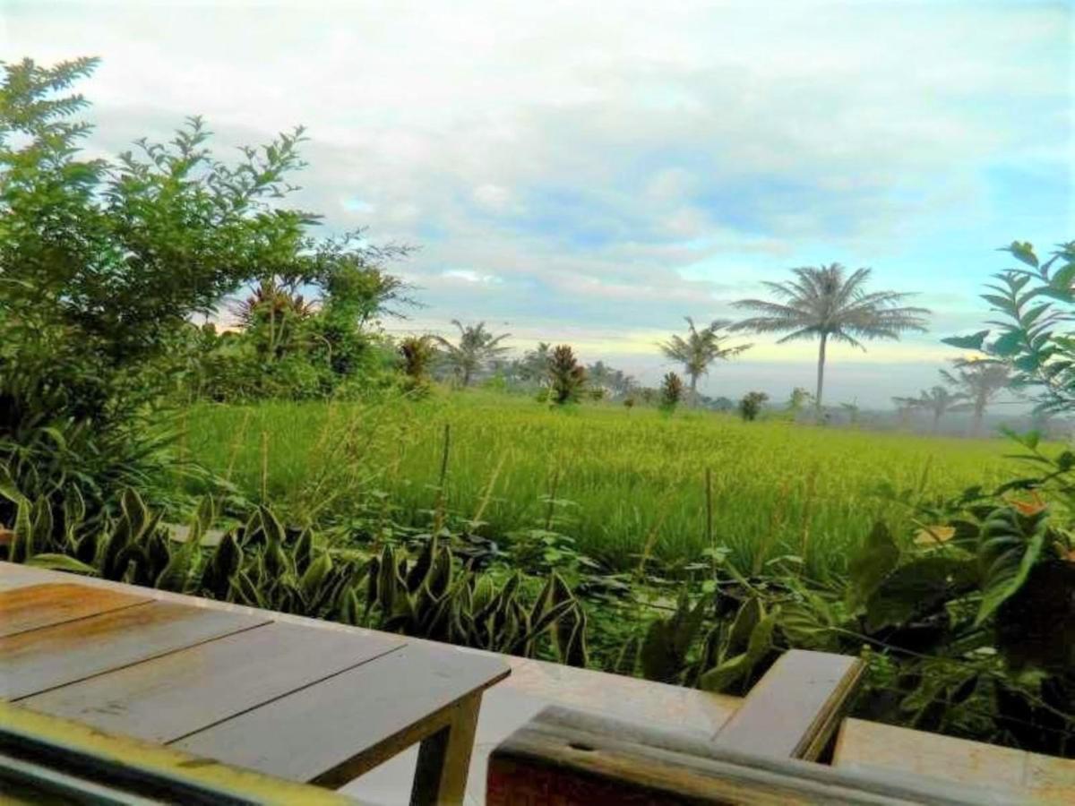 Licin Fida Ijen Crater Guesthouse מראה חיצוני תמונה